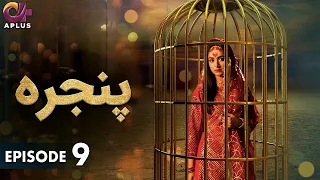 Pakistani Drama | Pinjra - Episode 9 | Aplus Gold | Yumna Zaidi, Nauman Aijaz | CZ1O