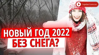 Может помешать температура: будет ли снег на Новый год 2022