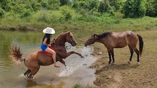 GARANHÃO FICA AGRESSIV0.😨