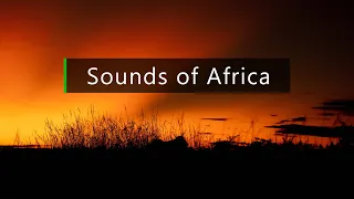 Nature and wildlife sounds - Dusk in the African bush