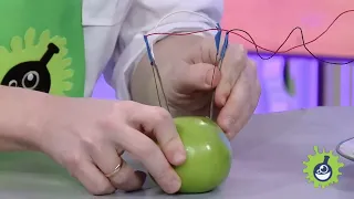 Как сделать батарейку из яблока (простой опыт)