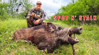 Big WILD BOAR Down!! (Texas Turkey Turned HOG HUNT)