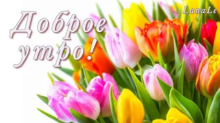 С добрым утром!/С новым днём! / весенний привет!/ Для тебя!