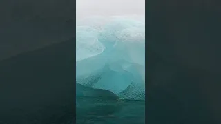 rare black iceberg in Antarctica