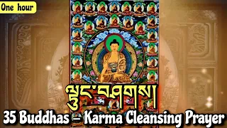 ☸35 Buddhas - Karma Cleansing Prayer (1 Hour)ལྟུང་བཤགས|Buddhist Confession Prayer|Tibetan Prayer