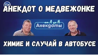 Анекдот о медвежонке, химии и случай в автобусе