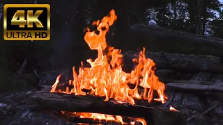 4K Lakeside Campfire with Relaxing Nature Night Sounds