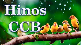 HINOS CCB - Belíssimos Hinos Hinário 5 Cantados CCB - Congregação Cristã #06