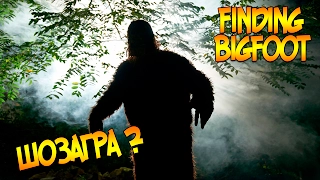 ШОЗАГРА ? | FINDING BIGFOOT