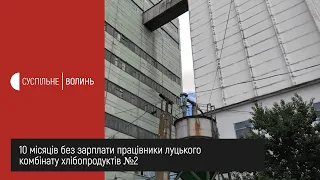 10 місяців без зарплати працівники луцького комбінату хлібопродуктів №2