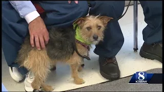 Prison inmates get recognition for their work training shelter dogs