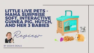 Little Live Pets Mama Surprise Guinea Pig Review