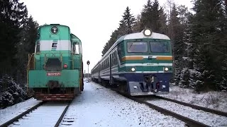 Дизель-поезд ДP1А-239 на ст. Кийза / DR1A-239 at Kiisa station