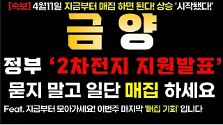 [금양] 4/11 *(화)* 지금부터 매집하면 된다! '2차전지 지원발표' 묻지 말고 일단 매집 하세요!