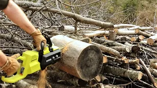 FIRST CUT Review and DEMO - Ryobi 14 in. 40-Volt Brushless Lithium-Ion Cordless Chainsaw