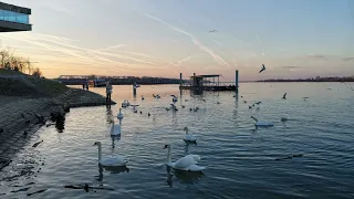 Вечер на берегу Дуная