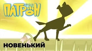 Cartoon series "Patron the Dog". 7th episode. "The Newbie".