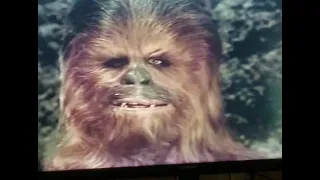 Chewy's reflections during Tree of Life celebration