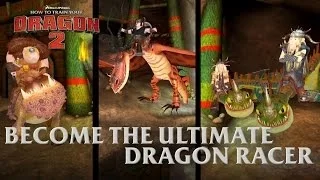 How to Train Your Dragon 2 - 3DS/Wii/Wii U/X360/PS3 - Become the ultimate Dragon Racer!