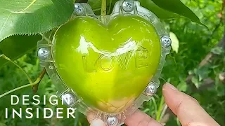 Mold Shapes Growing Fruits Into Hearts And Stars