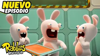 Rabbid Test n°98003-c : La silla (S01E56)| Rabbids La Invasión | Nuevo Episodio | Cartoon