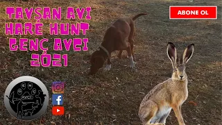 TAVŞAN AVI 15 Kopayla Tavşan Avı 2021-Yatakta Gördüm- ΚΥΝΗΓΙ ΛΑΓΟΥ- Hare Hunting- GENÇ AVCI