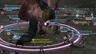 Final Fantasy XIV's current situation (DDoS Attack)