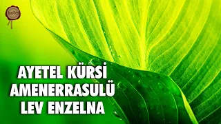 Ayetel Kürsi Amenerrasulü Lev Enzelna - Muhammed Mekin Kayaş