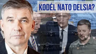 Kodėl NATO delsia? Alvydas Medalinskas