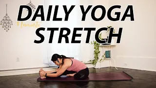 20 Minute Daily Yoga Practice 🔸 Seated Yoga Stretch Routine for Mobility & Flexibility