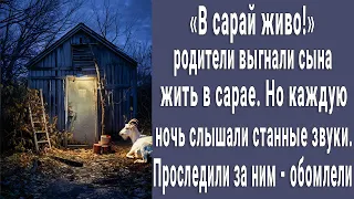 Родители выгнали сына жить в сарай. Но когда узнали, что он там делает каждую ночь, обомлели