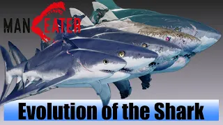 Maneater - Evolution of All Shark Sizes