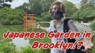 Japanese Hill and Pond Garden Tour - Brooklyn Botanic Gardens Grand Re-open