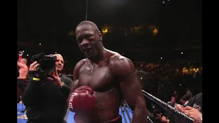 It Is Time To Audit Wilder's Resume! Is He The Hardest Puncher Or A Cherry Picker? (Final Round)