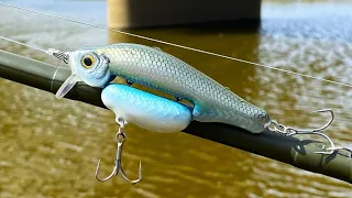 Jointed Belly Emerald Shiner JerkBait | Build to Catch