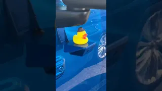 What the duck is that: Jeep Ducking holder