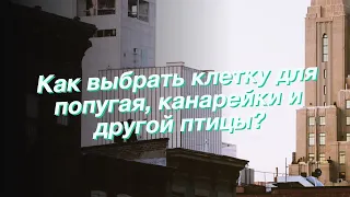 Как выбрать клетку для попугая, канарейки и другой птицы?