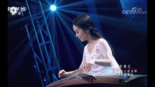 【古筝】耳朵怀孕了：白洋  -  青花瓷（Bai Yang - Blue and White Porcelain, Guzheng）