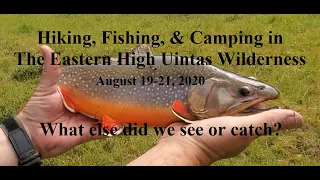 Fishing, Hiking, Backpacking & Camping in the Eastern High Uintas Wilderness with Fishfearme Studios