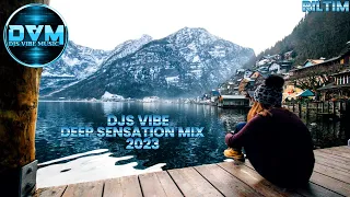Djs Vibe - Deep Sensation Mix 2023 (RILTIM)