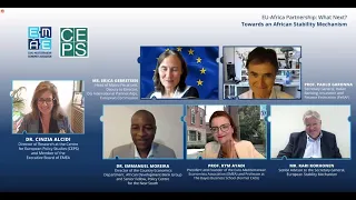 EMEA Webinar: EU-Africa Partnership, Towards an African Stability Mechanism