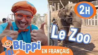 Blippi au Zoo de San Diego | Blippi en français | Vidéos éducatives pour enfants