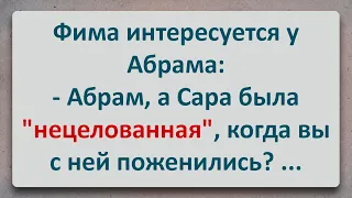 ✡️ НЕЦЕЛОВАННАЯ! Анекдоты про Евреев! Выпуск #54