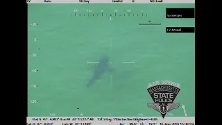 Shark Spotted by Air Wing, Beachgoers Warned by Crew via P.A.