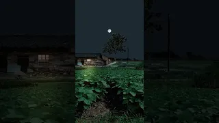 moon light | evening night