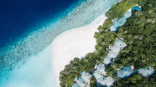 Embudu Village Maldives - The perfect tropical escape
