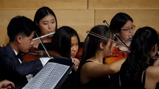 Camerata Youth Orchestra - Symphony No. 1 in D, I. Allegro molto / Gounod