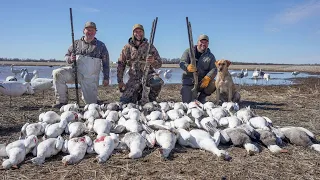 Hunting My Secret Sheet Water Hole with Only 3 Guns and Pintails Everywhere!!