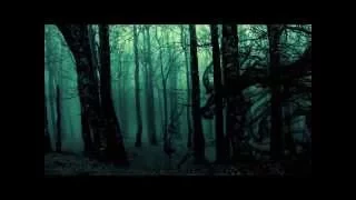Psytrance DJ Set : Koda Kade - Spirit of the Forest mix : [forest / dark]