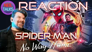awesome fun AND super heartbreaking! *Spider-man:  No Way Home* (2021) - Reaction & Commentary